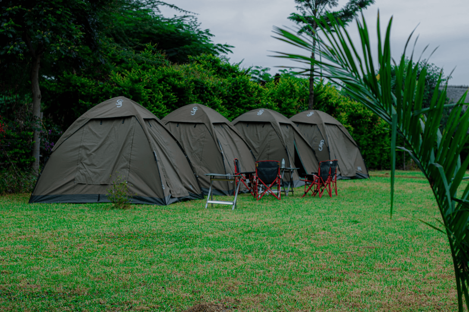 Manyara Campsite